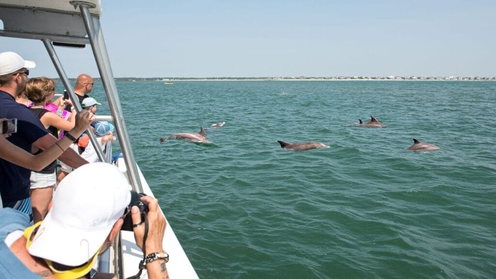 People on a Dolphin Watching Cruise