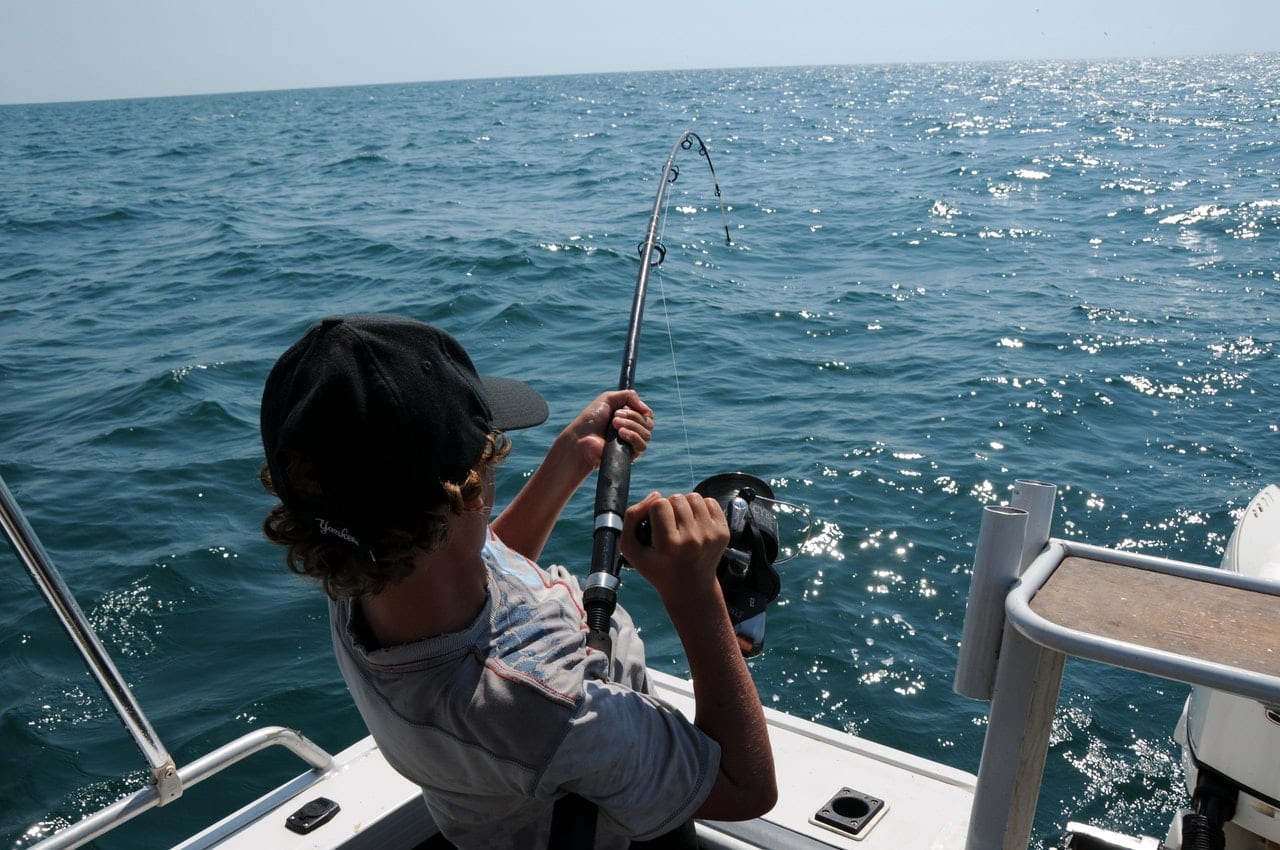 Surf Fishing