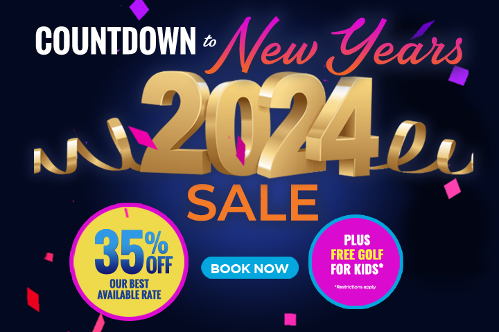 Countdown to New Year's Sale - 35% Off