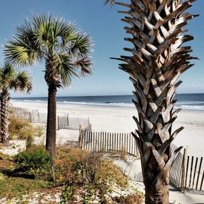 beach